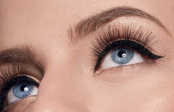 Best False Eyelashes for Everyday Use image 3