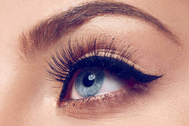 6 Best False Eyelashes for Everyday Use in 2024