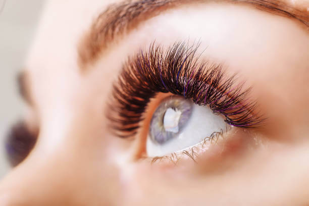 Best Fake Eyelashes for Beginners image 1